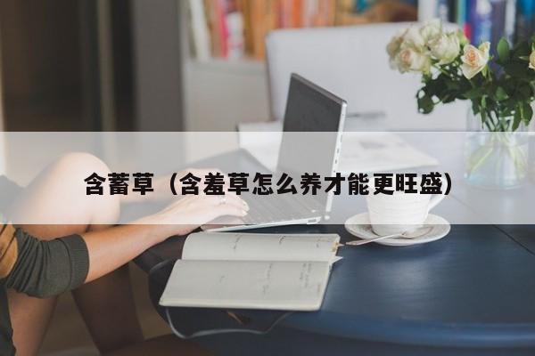 含蓄草(含羞草怎么养才能更旺盛)