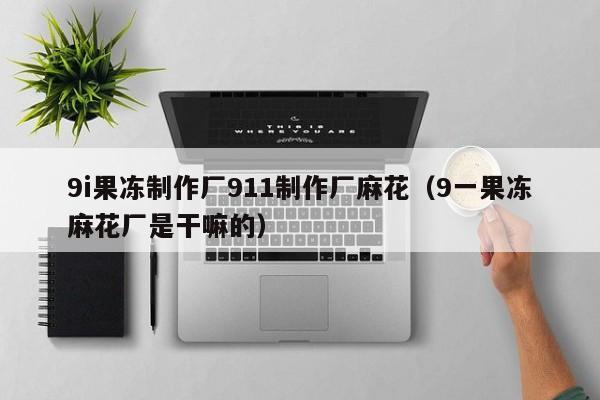 9i果冻制作厂911制作厂麻花(9一果冻麻花厂是干嘛的)