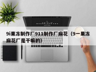 9i果冻制作厂911制作厂麻花（9一果冻麻花厂是干嘛的）