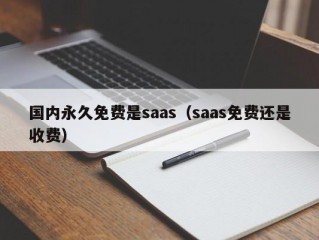 国内永久免费是saas（saas免费还是收费）