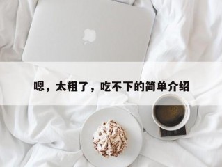 嗯，太粗了，吃不下的简单介绍
