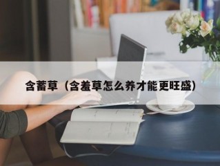 含蓄草（含羞草怎么养才能更旺盛）