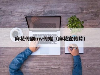 麻花传剧mv传媒（麻花宣传片）